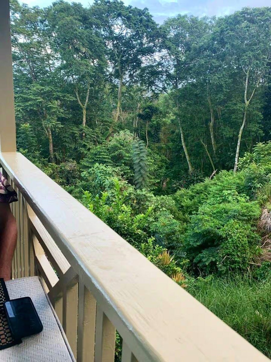 view from private lanai