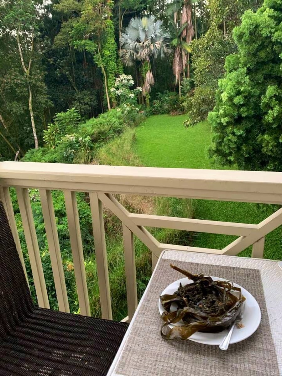 view from shared lanai