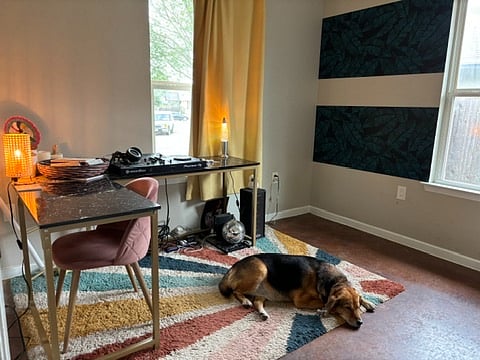 Sunny Private Office