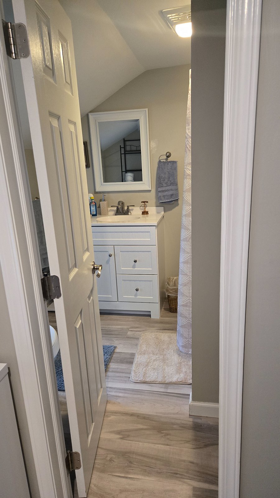bathroom - vanity & shower