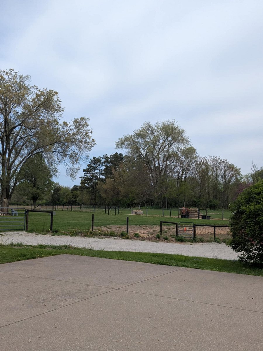 Neighboring horse pasture, viewable from back yard