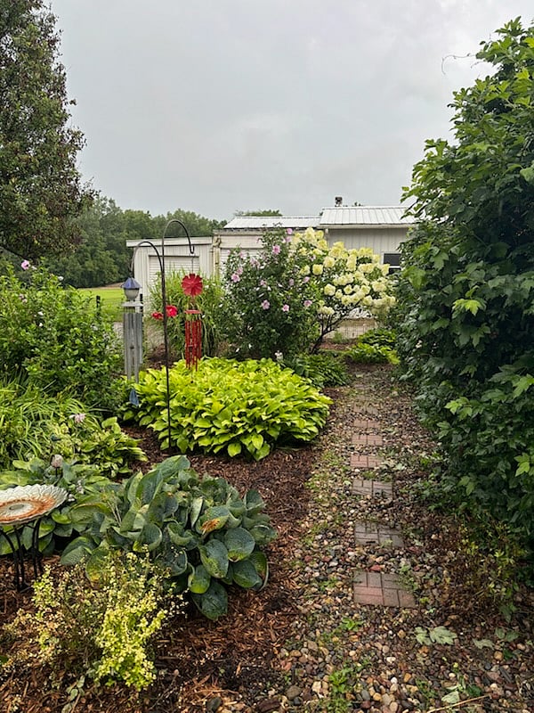 Rock garden, back yard