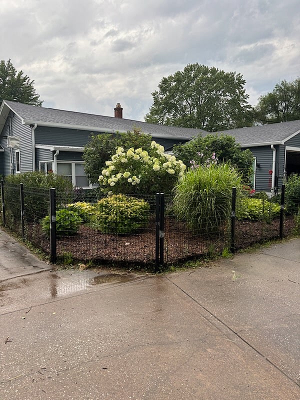 Back yard 