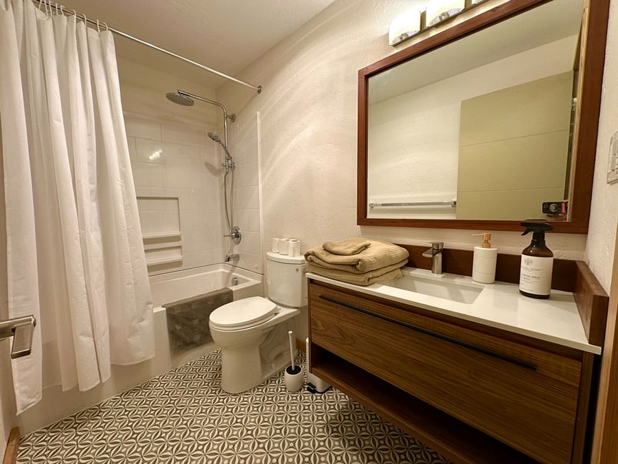 Upstairs Master Bath with Rain Shower and wall hung vanity.