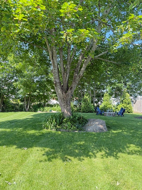 Furnished Finder property 862750_1 photo 14