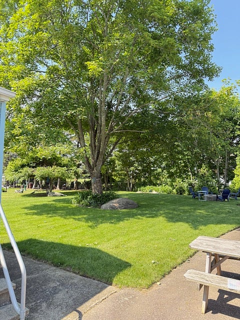 beautifully landscaped back yard