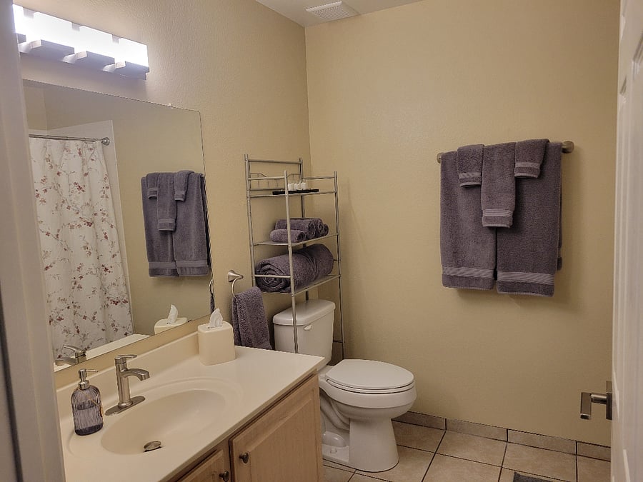 Hall/guest bathroom