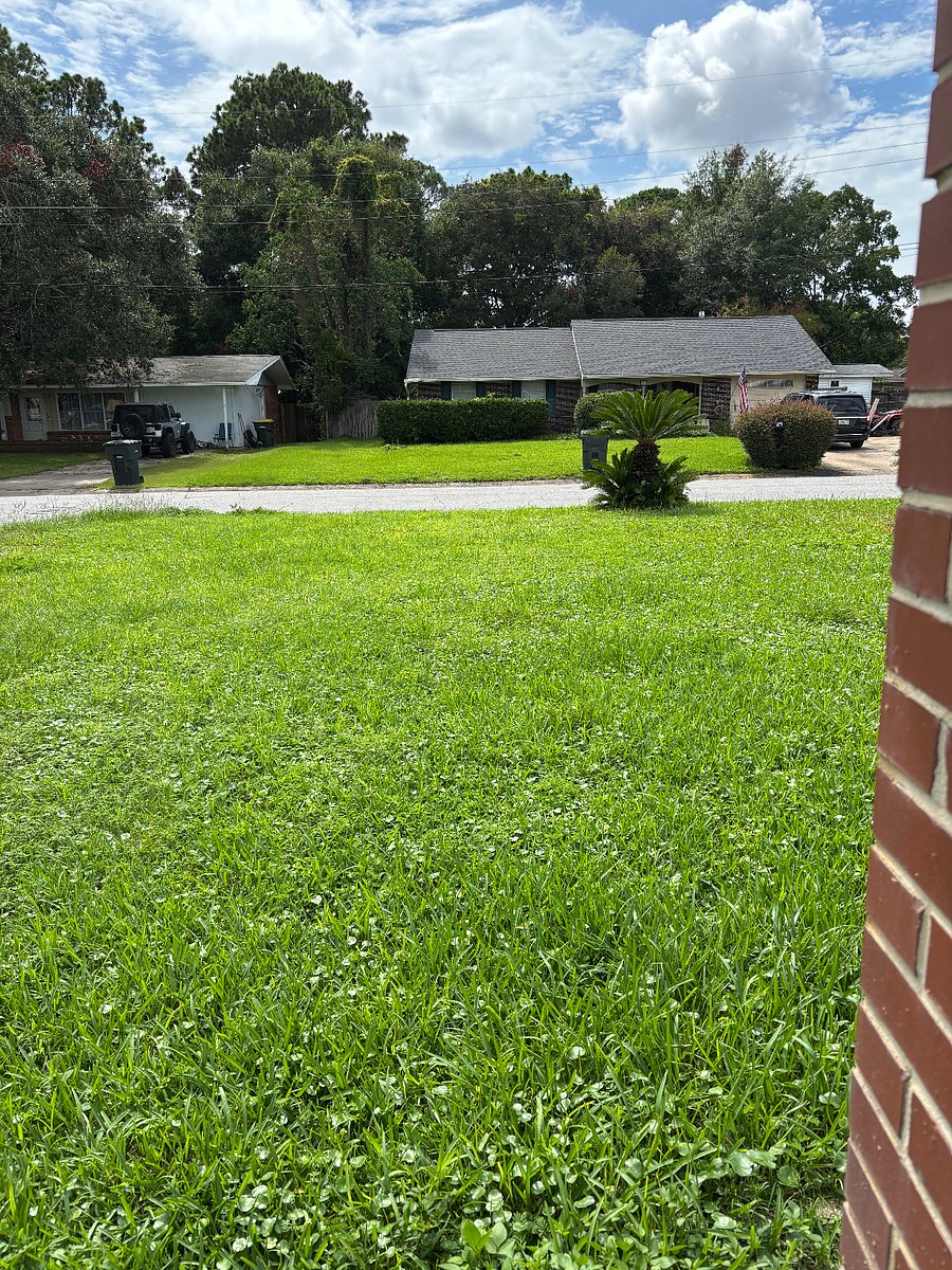 Frontyard in a quiet neighborhood