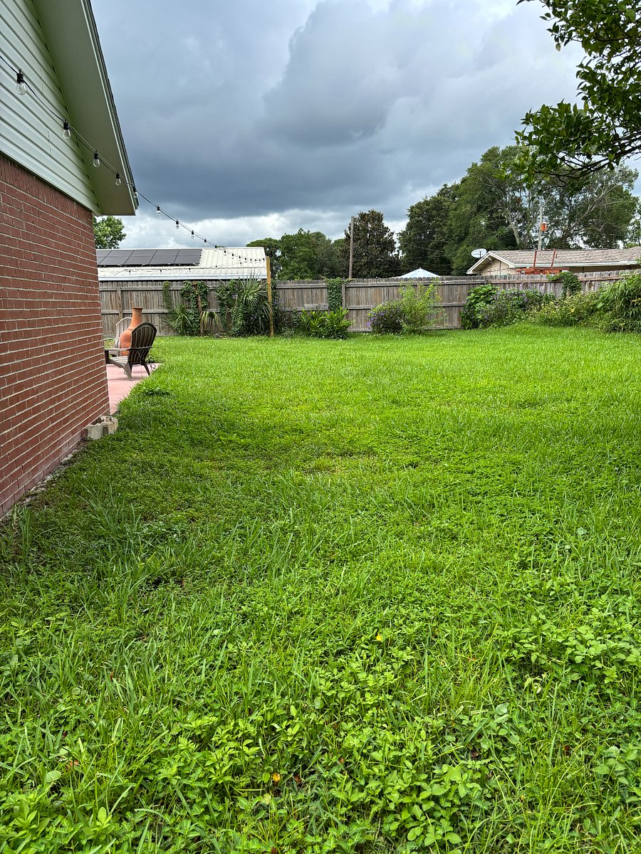 So much space and lush grass for outdoor zoomies! 
