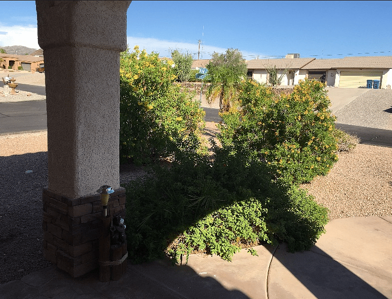 Furnished Finder property 862925_1 photo 20