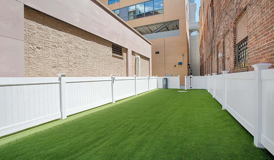 DOG PARK
-- (EXTERIOR AMENITY / COMMON SPACE)
-- open to all residents in the building.