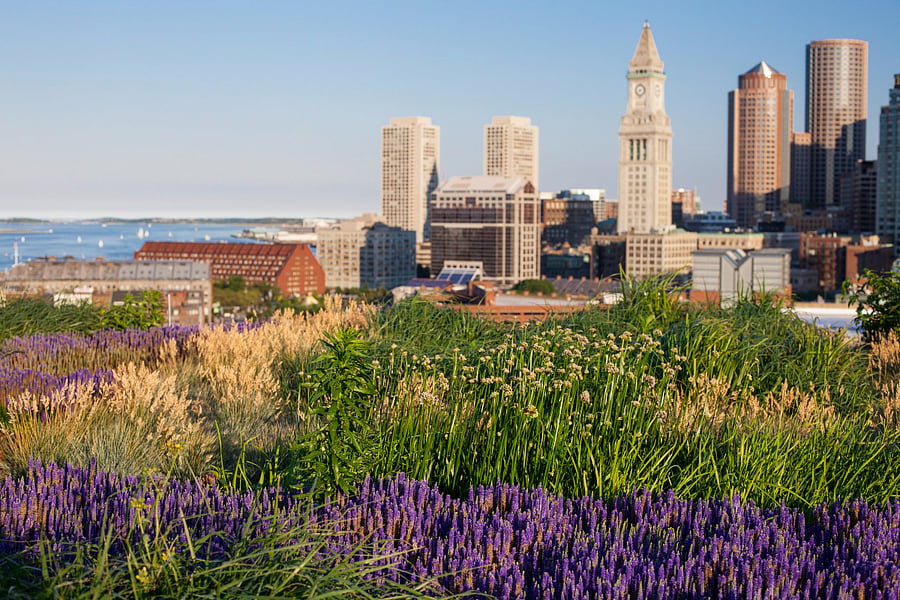 ROOFTOP LOUNGE &VIEW
-- (EXTERIOR AMENITY / COMMON SPACE)
-- open to all residents in the building.