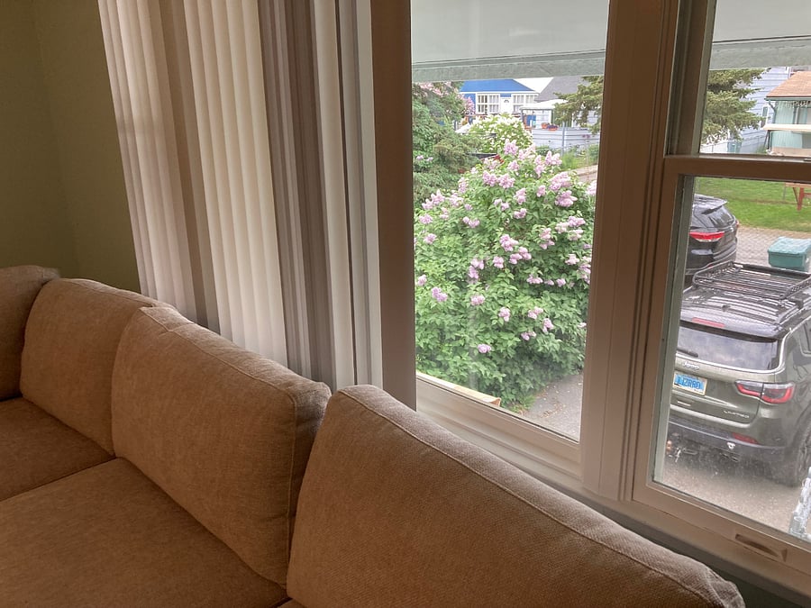 Partial view outside living room window