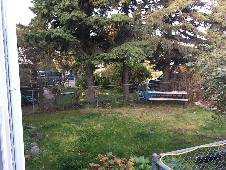 Front yard W/picnic table