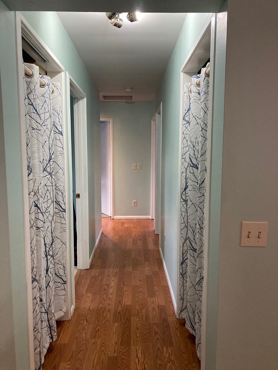 Hallway leading to all bedrooms, laundry room, bathroom. Pantry on left & coat closet on right (behind curtains)