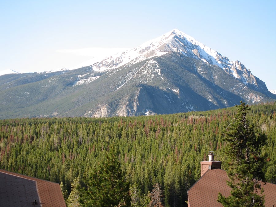 View from condo