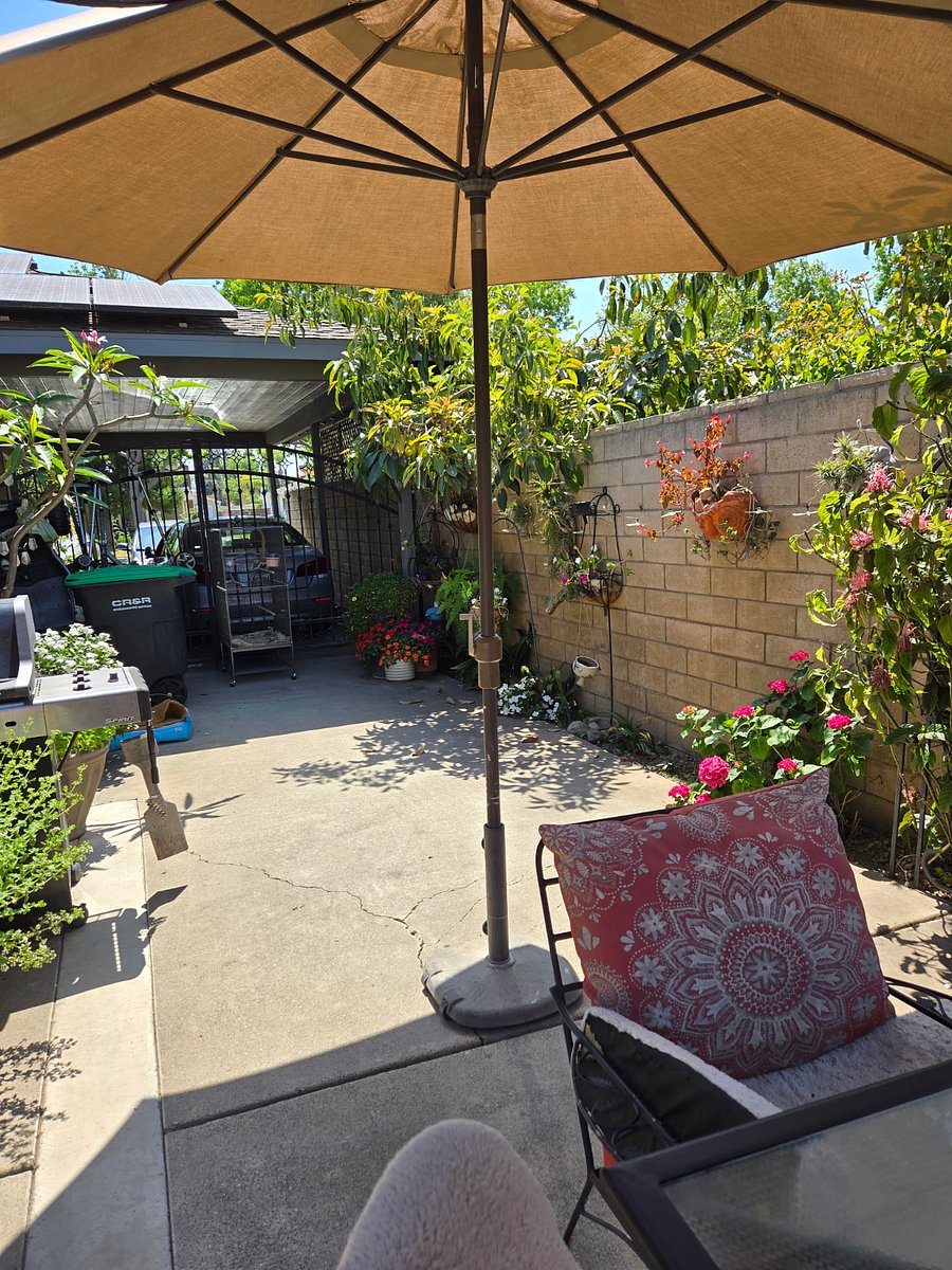 Furnished Finder property 863299_1 photo 7