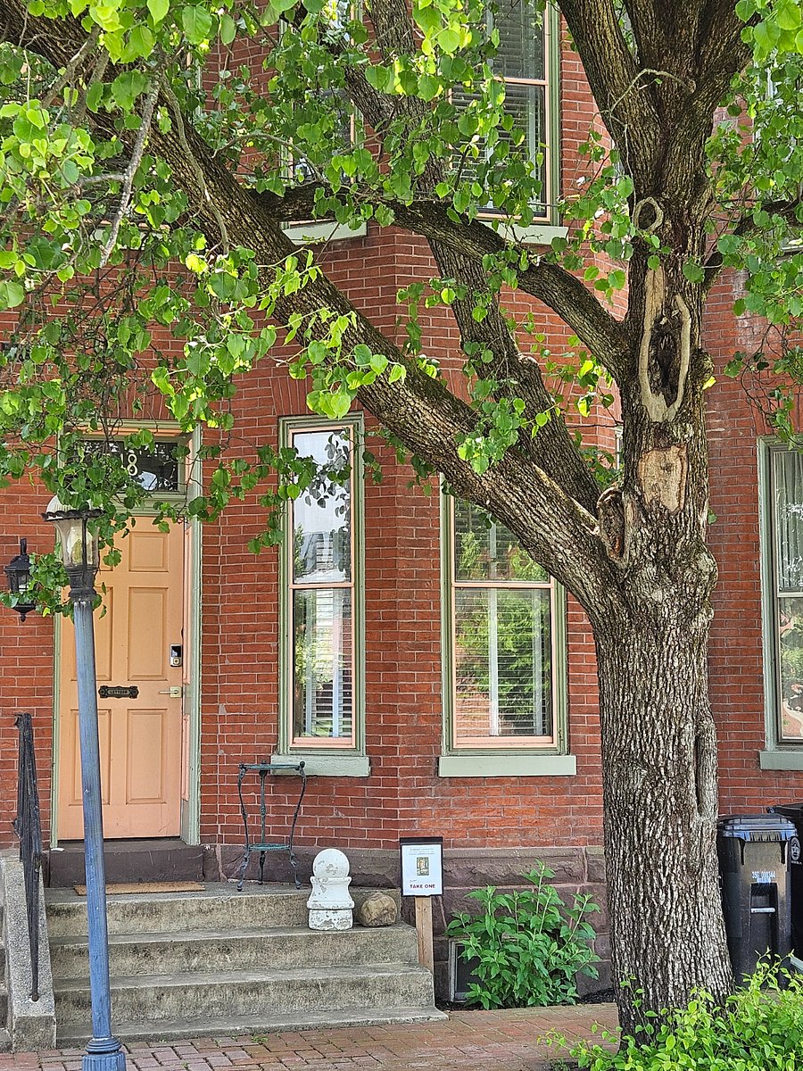 Front door, 548 Race Street.   Great neighbors and nice street, 2 blocks away from the river front.  Street parking is available withe a 3 month permit.