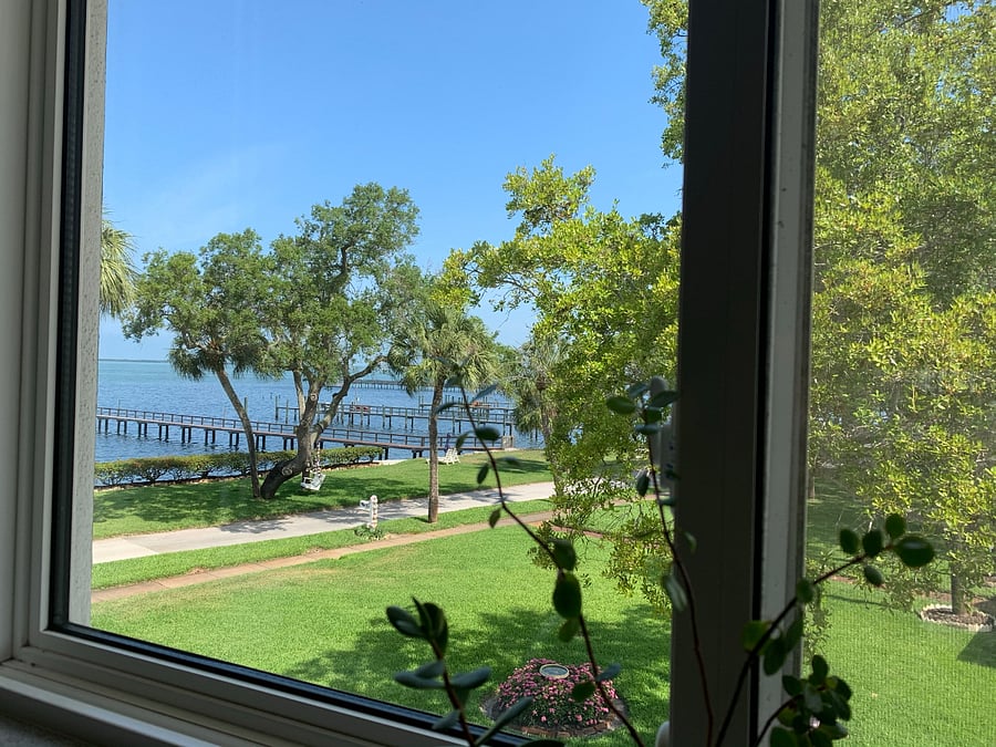 View from kitchen sink

