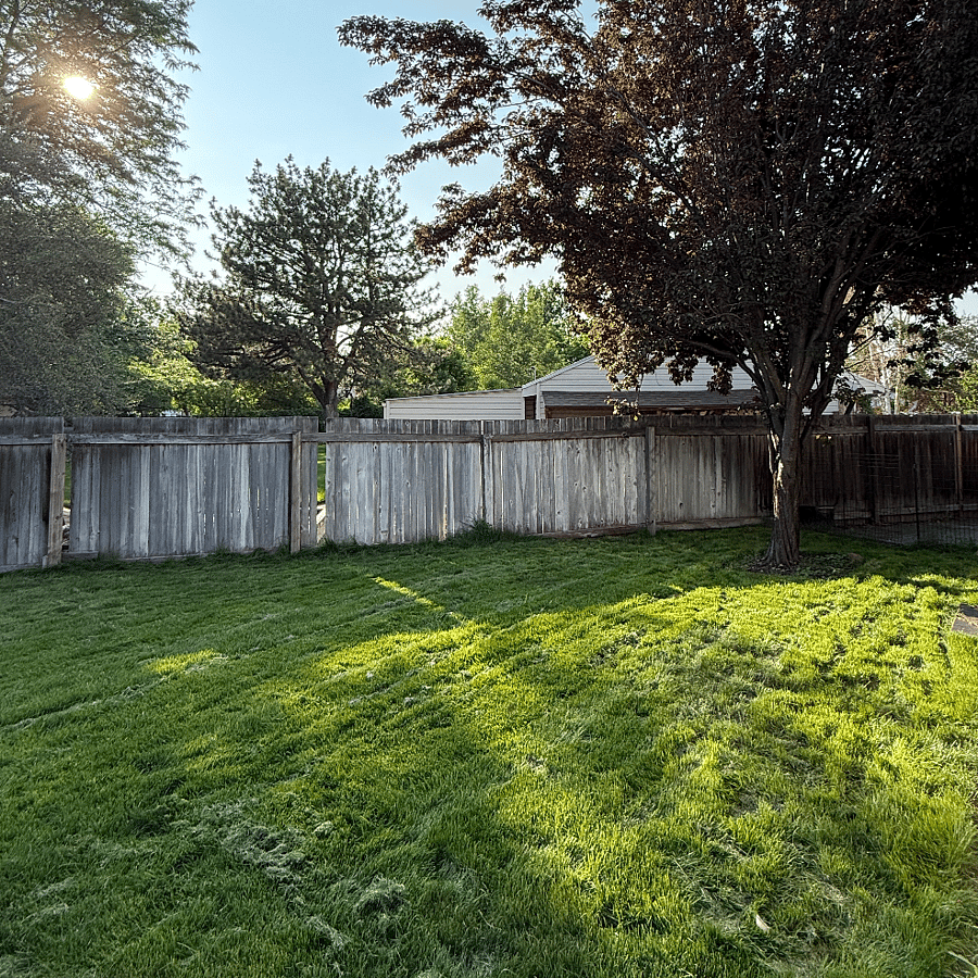 Furnished Finder property 863497_1 photo 11