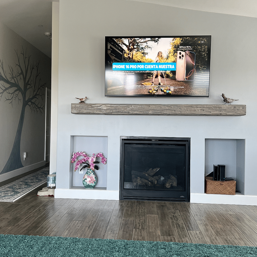 Gas fireplace
