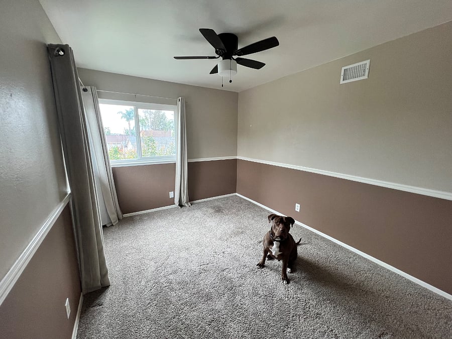 Furnished Finder property 863556_2 photo 3