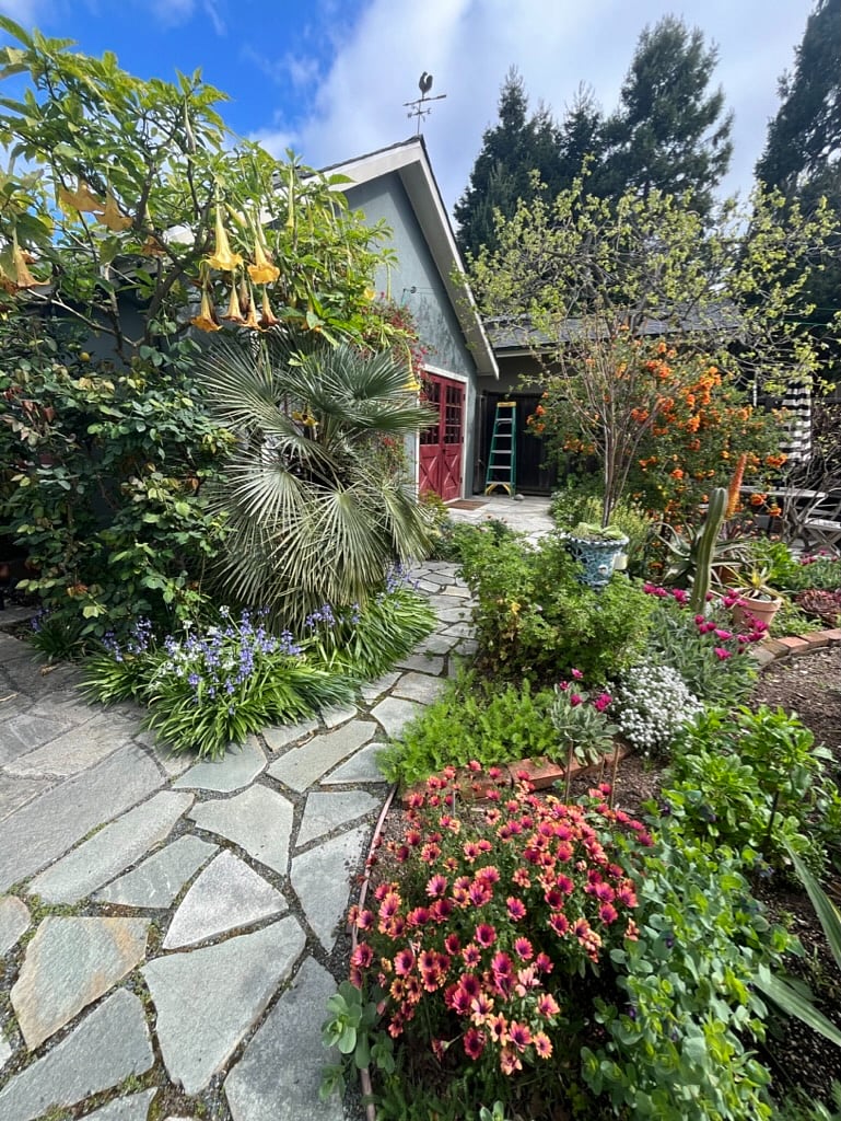 Back garden