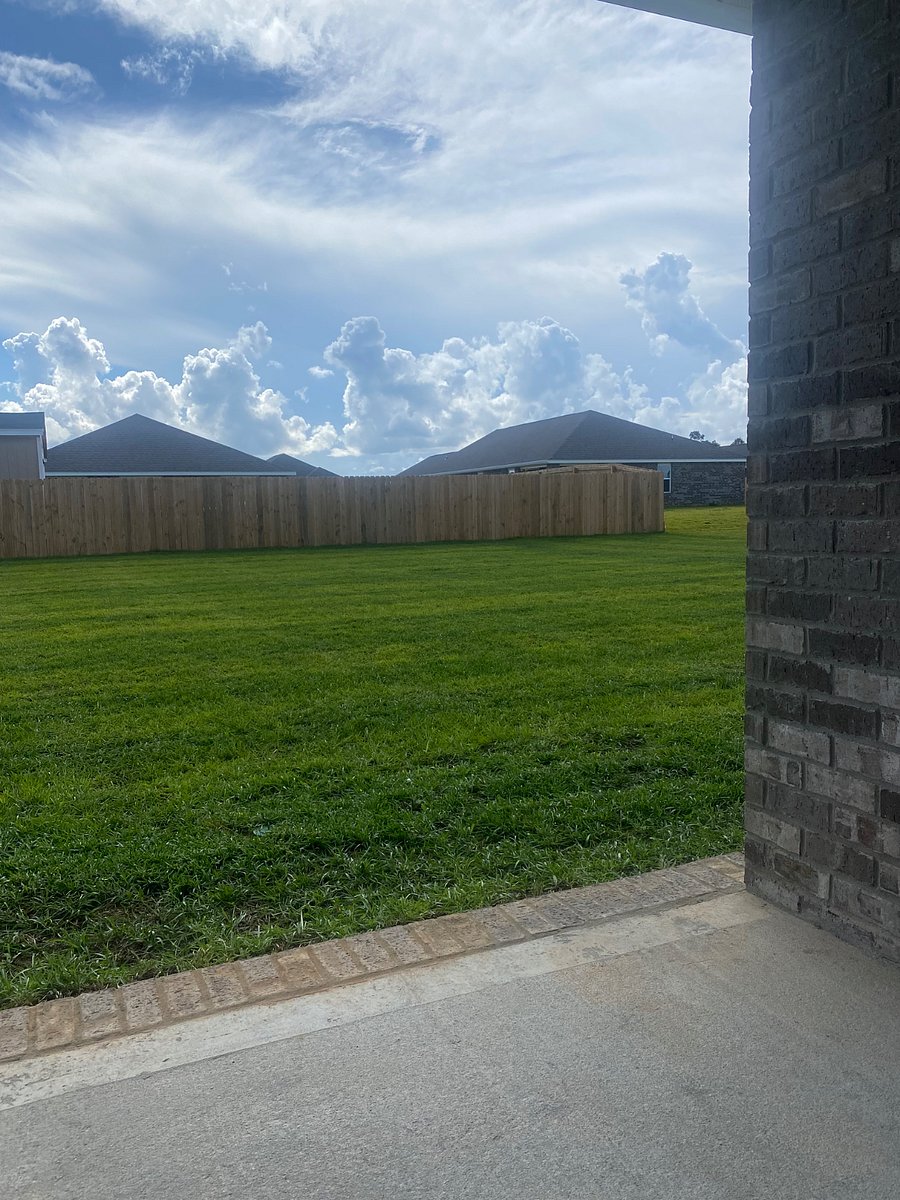 Back yard