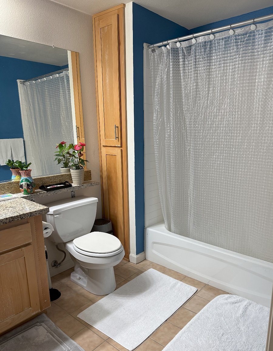 Furnished Finder property 864199_2 photo 8