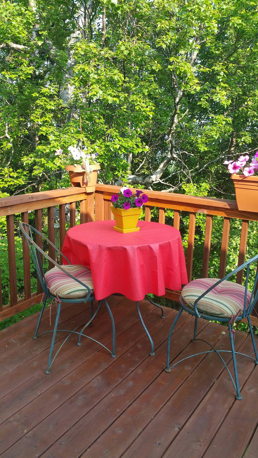 Furnished Finder property 864407_1 photo 17