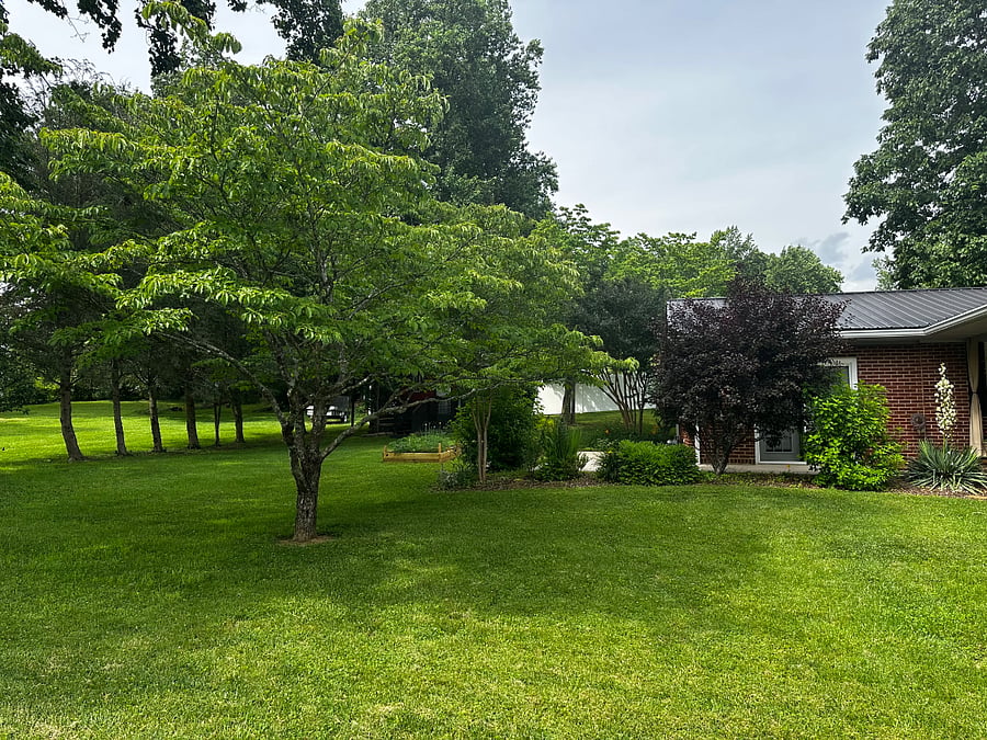 Furnished Finder property 864431_1 photo 13