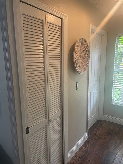 The private hallway within the suite has a window to the backyard and an extra closet for storage.