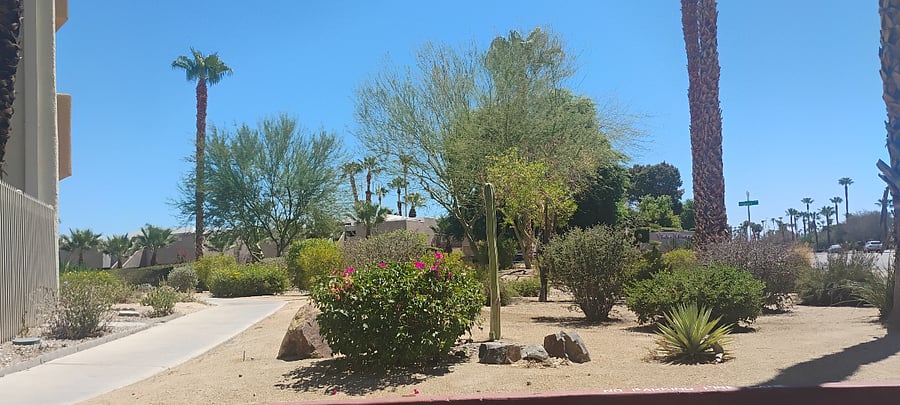 The grounds are nicely maintained to help create a pleasant atmosphere.
