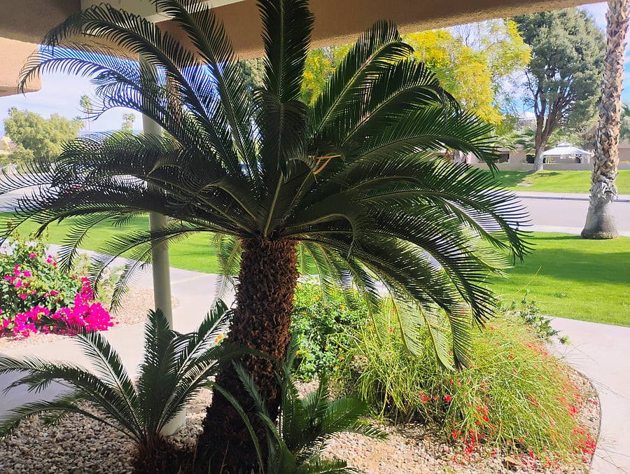 Your front entrance