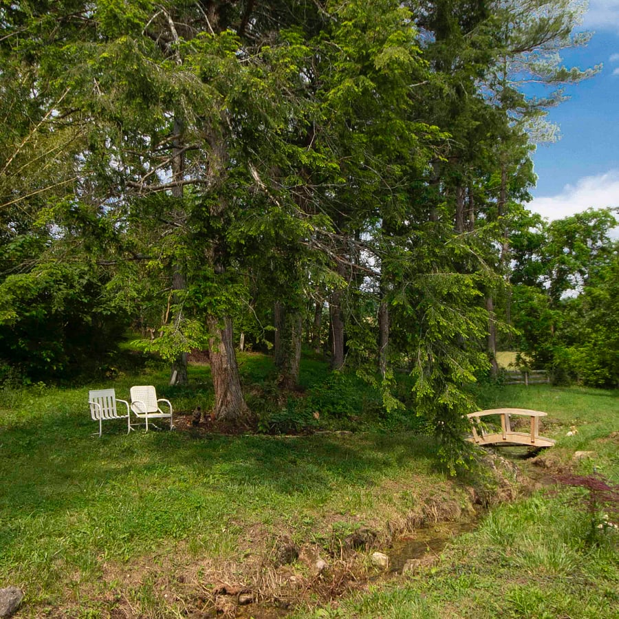 Big beautiful shade trees next to the historic Hope Springs spring head