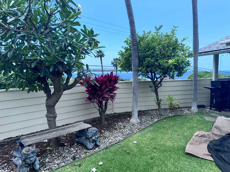 Garden and View