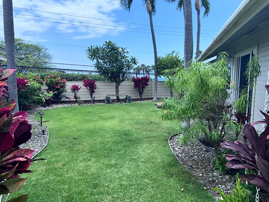 Large Lush Garden