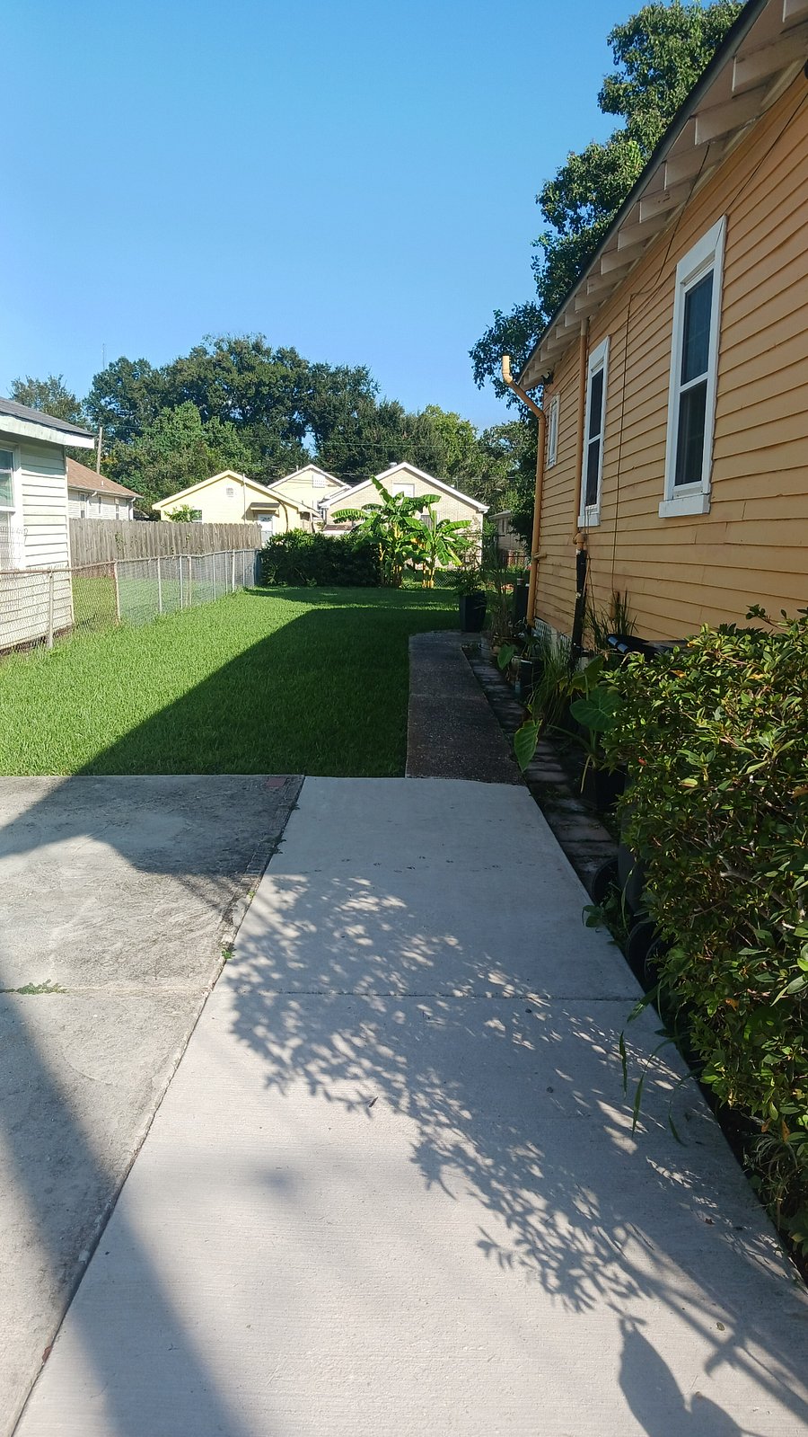 Driveway in Daylight