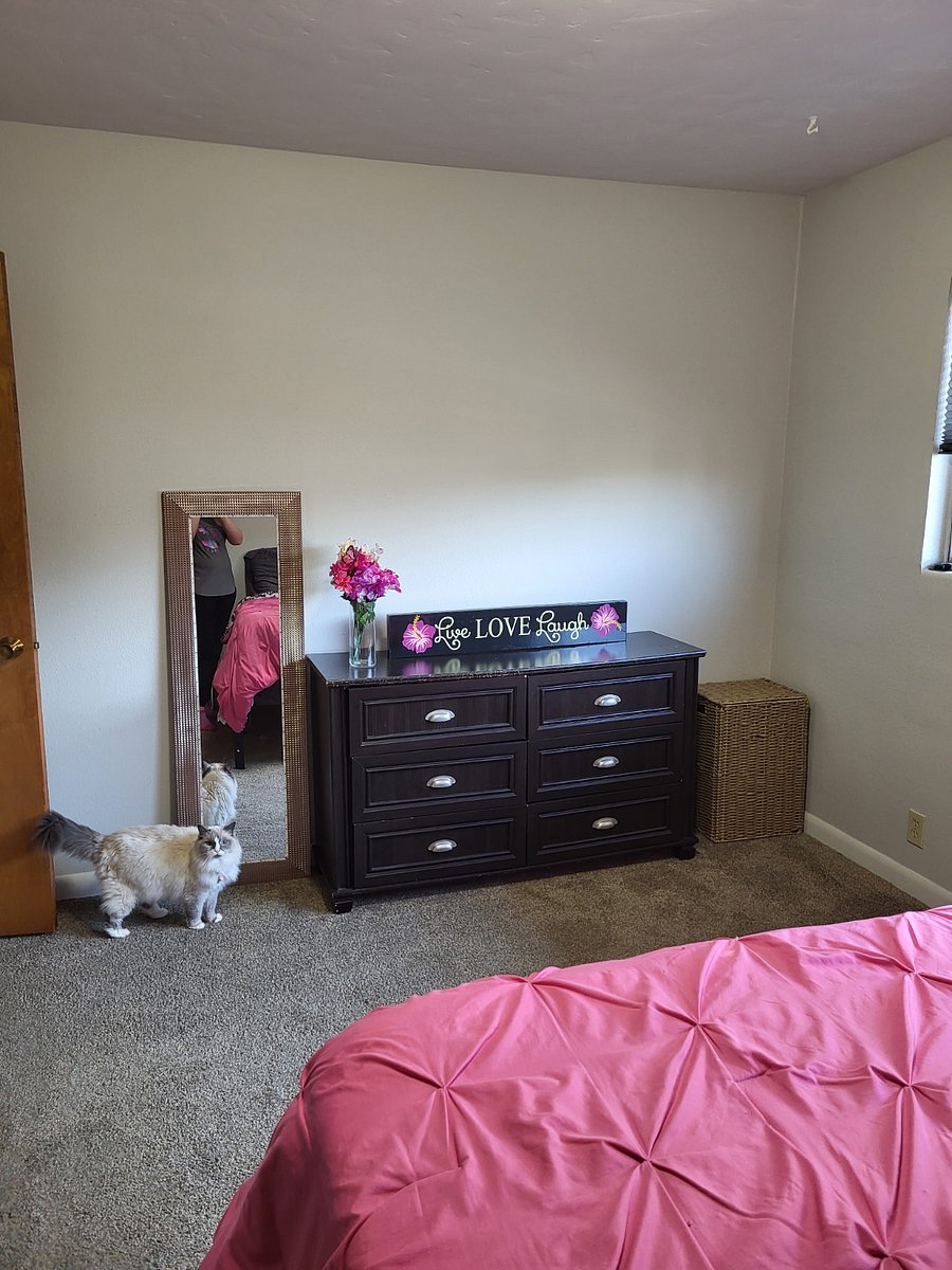 Furnished Finder property 864859_2 photo 4