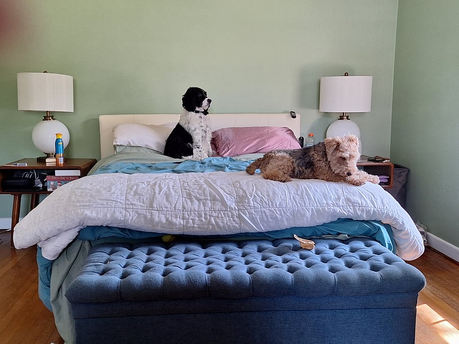 host bedroom