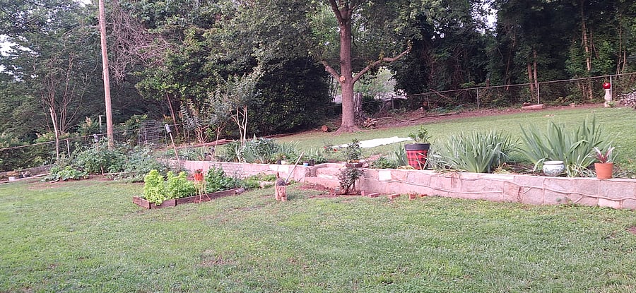 Fenced in back garden