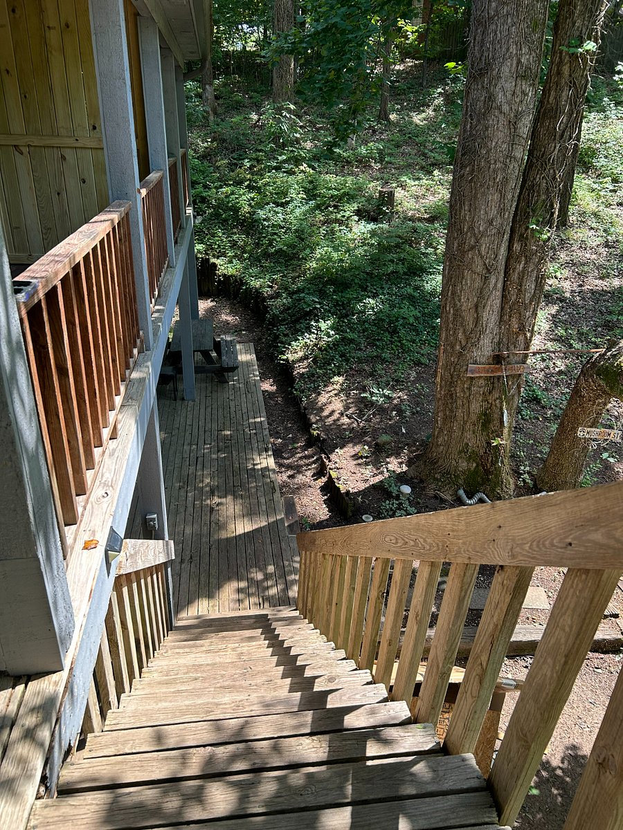 Furnished Finder property 864953_1 photo 3