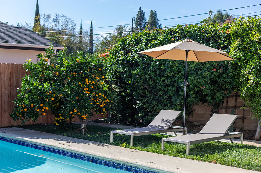 Peaceful garden space with seating and shaded relaxation area