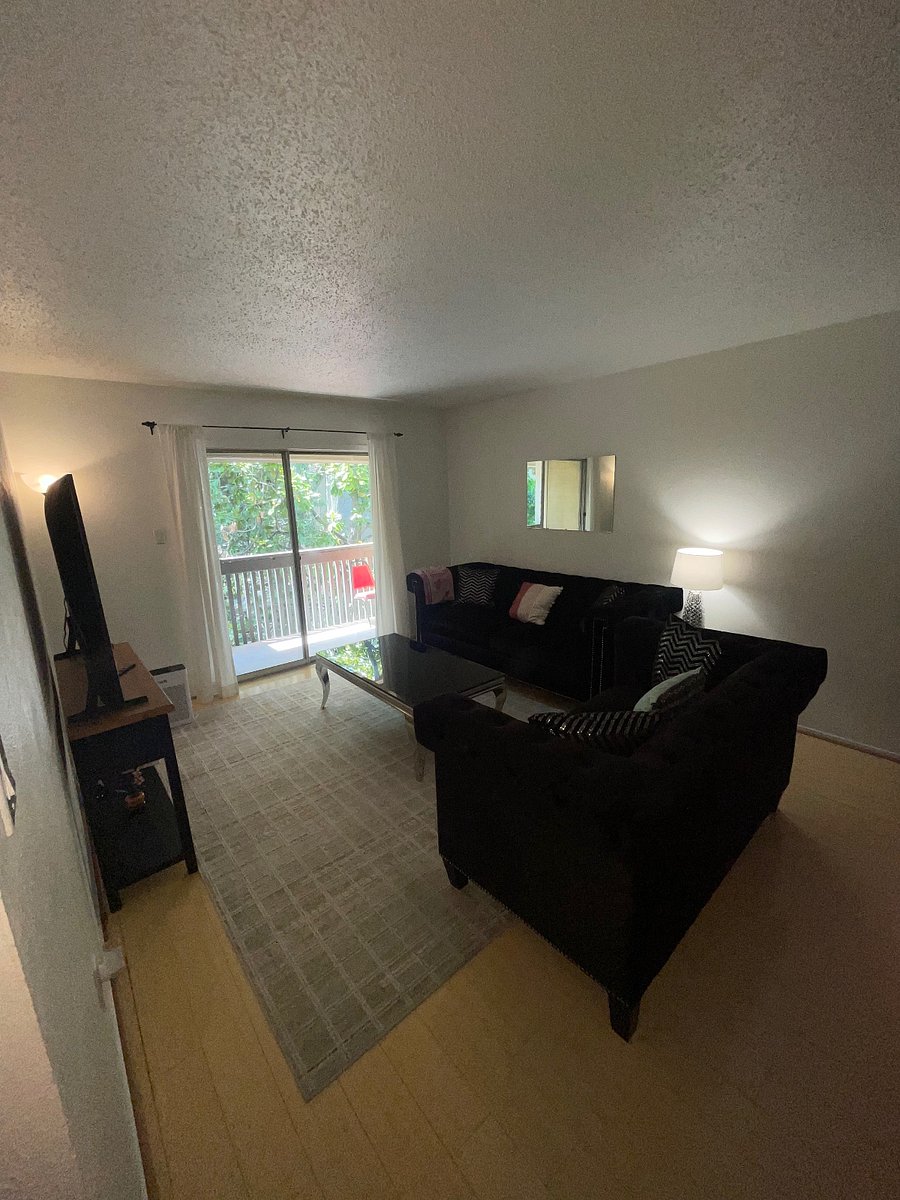 Two velvet couches, coffee table, side table with lamp, media table with flatscreen TV, and tall lamp on the side.
