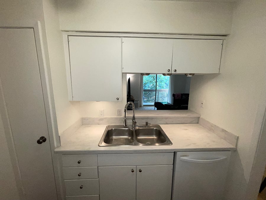 Sink, dish washer, cabinets, pantry.