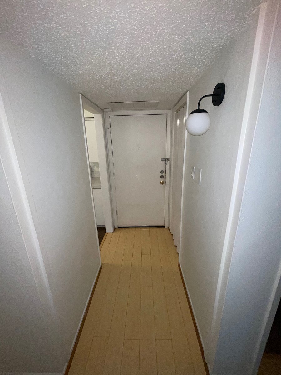Hallway to front door. Storage closet on the side.