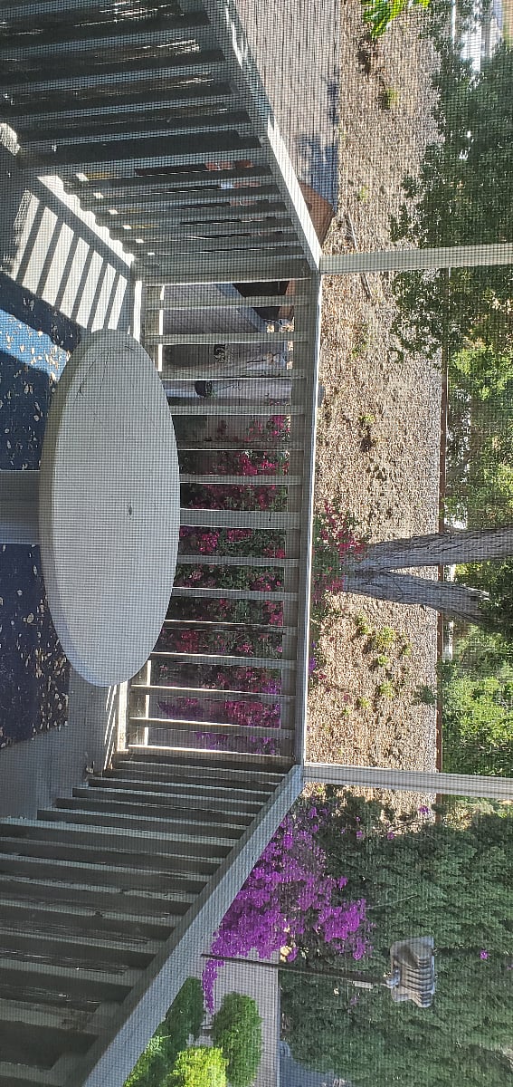 Furnished Finder property 864977_1 photo 4