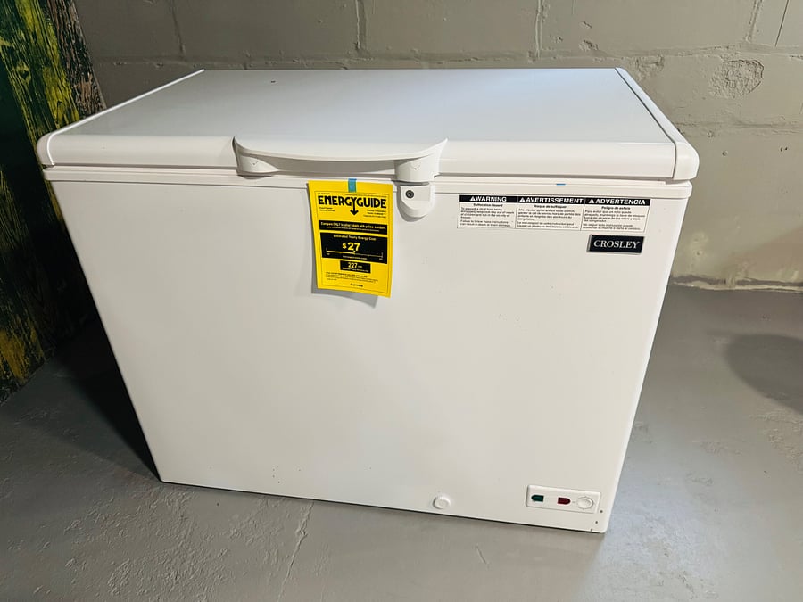 Freezer in basement