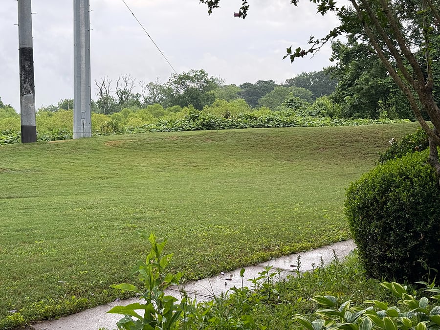 Exterior green space is great for sitting out on back patio and relaxing!