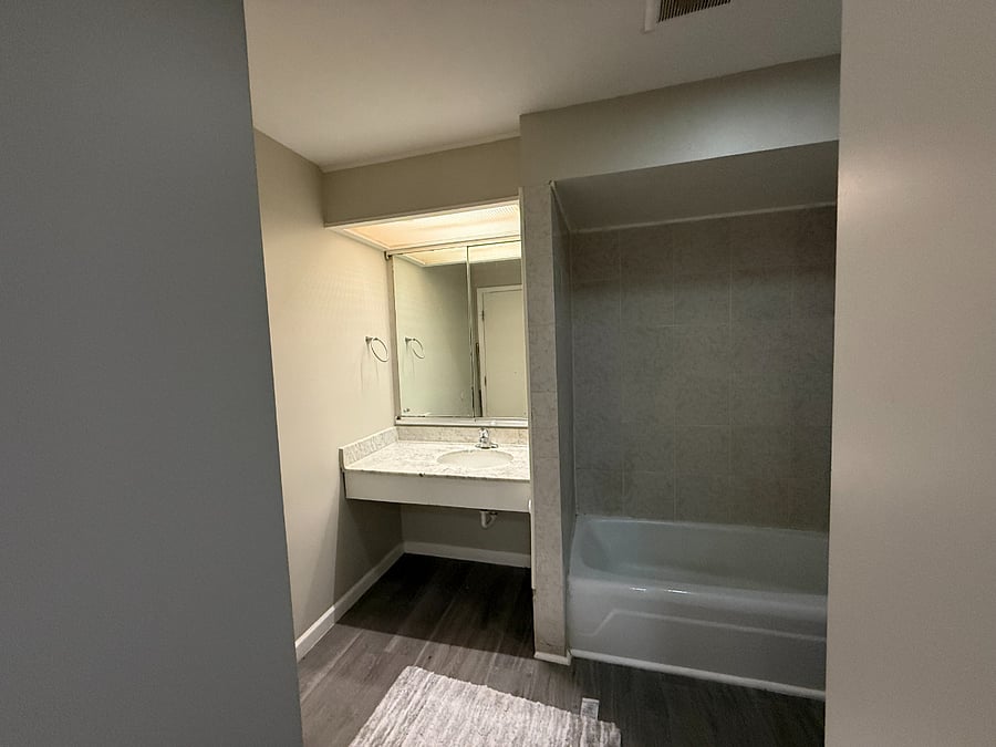 Vanity and mirror area.
